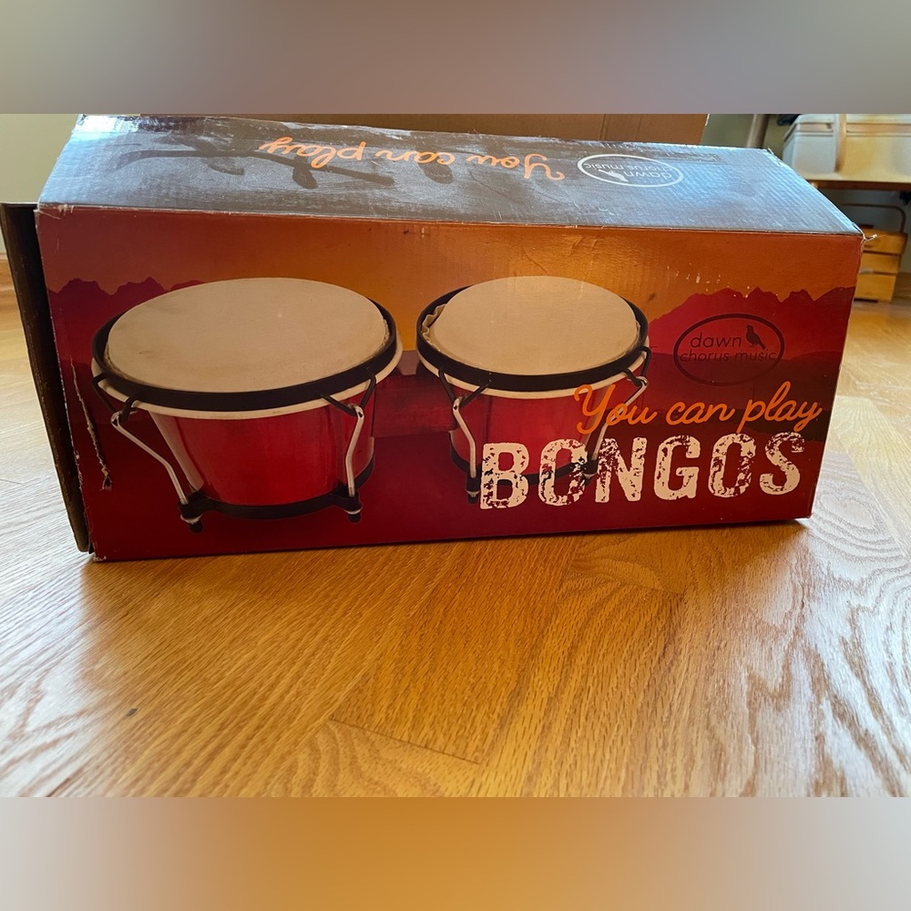 Dawn Chorus You Can Play Music Red Bongos